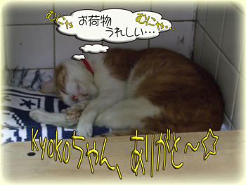 お荷物、好き!(笑)