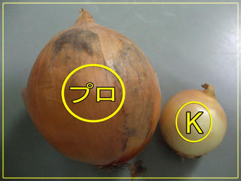 同種とは思えない~~(汗