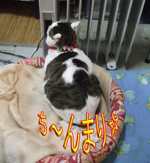 やっぱな～