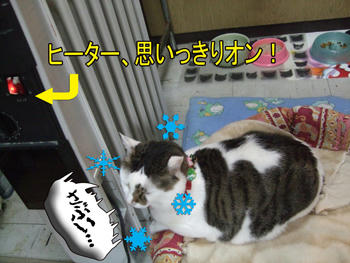 オンなのに雪降る寒さ…う、う