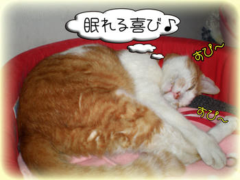 お二階はいつもヌクヌクだったもんね。。