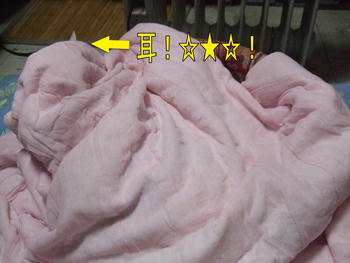 どこにいるんじゃい？