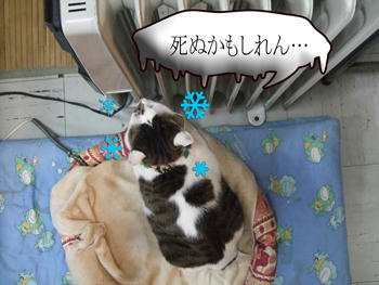 やっぱな～…