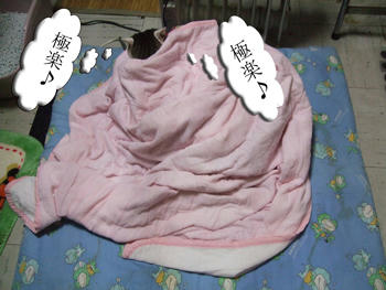 いい感じで寝てるわね～