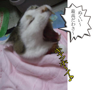 そりゃ良かったわね～、スタAに感謝しなっ！