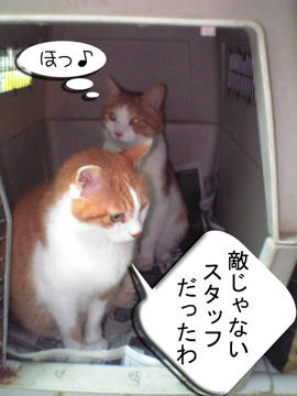 おだちゅんが上だったね。。