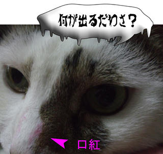 朝、唇を奪ったヤツ(;-_-)ﾉ