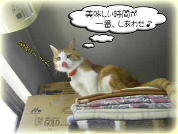 タンタンと同じに「ぺろり～ん」しちゃったわ（笑）