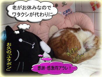寝ててくれるだけでよかったもんね。。おっ？ユタポン、お久しぶり！