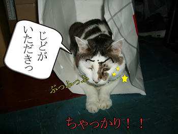Σ(｀д｀ﾉ)ﾉ ﾇｵｫ!!いつの間に？