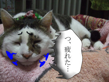 やっぱな。。
