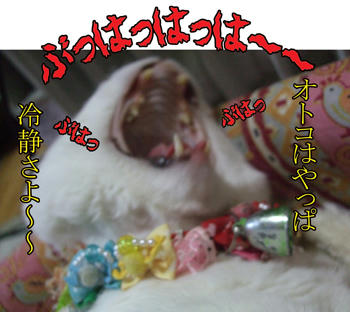 また無駄な高笑い。。（￣□￣*；