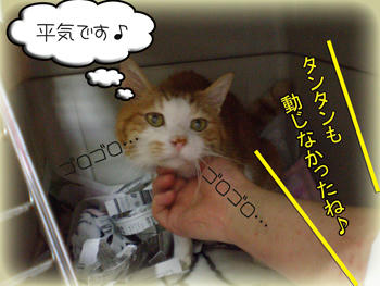 たまにパニくってたけどね←結構、ノミの心臓（笑）