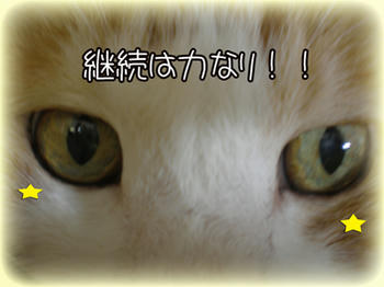 最低、一袋は飲み切るわ(笑)