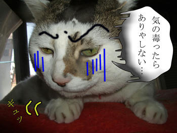そ~だしょ?アンタはつっやつやだもんね(怒)