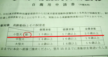 (ﾉ´▽｀)ﾉｵｵｵｵｯ♪レベルが上がってるわ～ｗｗ