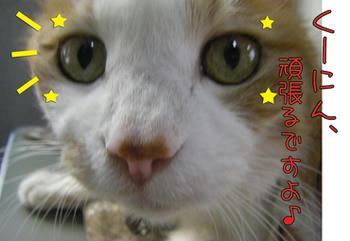 タンタンも応援してね～ｗｗ
