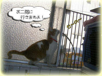この頃、ちょっと助走を付けてたね（笑）