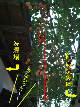 これはもはや「凶器」だわｗｗ