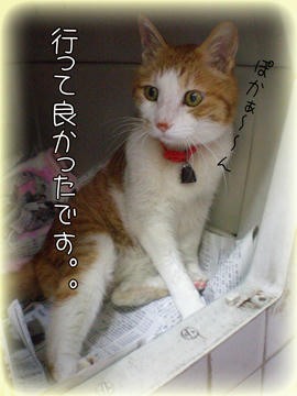 ホントだね。(*^-^)ニコ