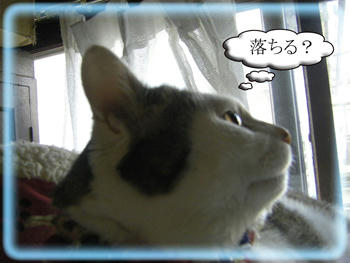 こらーーーｯ!(｀(エ)´)ﾉ_彡☆ﾌﾞｰﾌﾞｰ!!