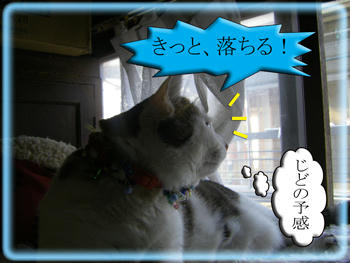 むぅう～～～ん・・・(( (　(￣ ￣ﾒ)　) ))　