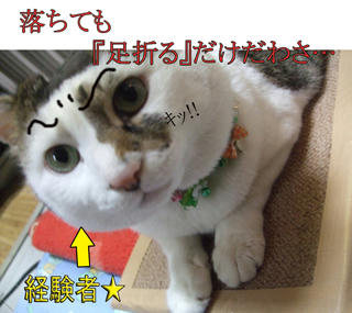 そうよね…Σ（￣Д￣;）がーんっ!