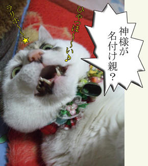 いきなりハイテンション?