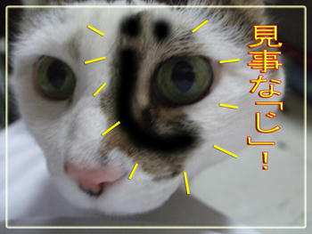 ぶはっは~、顔にも「じ」がッ!!