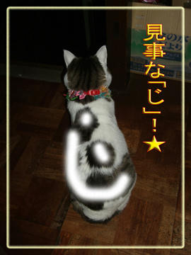 o(>▽<o)(o>▽<)oキャハハ