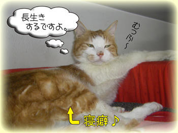 ホントだよね!