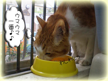 食べる事は生きること…