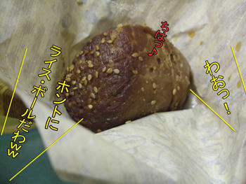 ゴマがラブリ～
