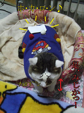 もう早、ホカロン背負ってるし（笑）