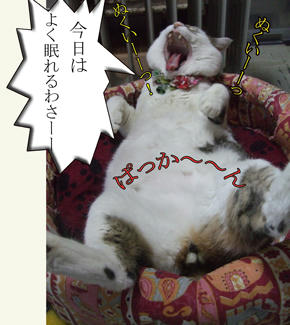 (ι´ω`)つ彡良かったわね～～（汗