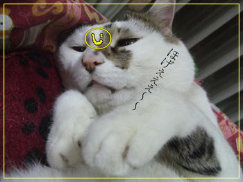 (ﾟ∇ﾟ ;)ｴｯ!?