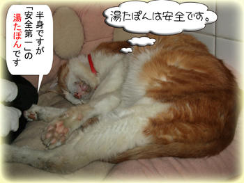 昔の温もりは優しいね…