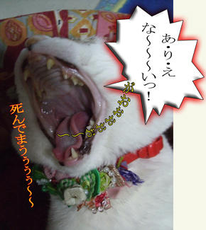 死ぬんかいっ！！
