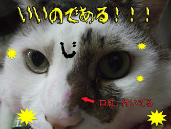 口紅付けて自信満々ね！