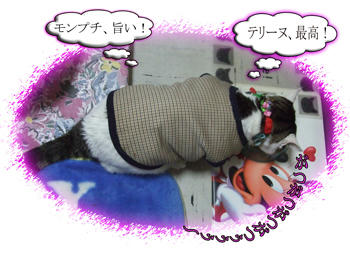 そんなに旨いんかい、良かったね～～ｗｗ