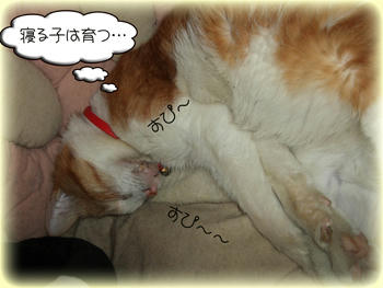 もっと？ﾌｶｲﾀﾒｲｷ（；д；）=3=3=3=3