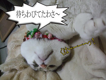 そんなに待たせてないわっ！