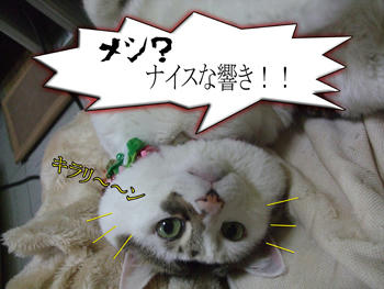 寝腐っててもこの言葉には反応するのね。