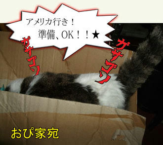 重量、オーバーだわ。( --)//~ 