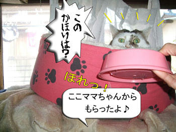 ~(＾◇^)/　ｳﾎﾎﾎ久しぶりのかほりだのぉ～～