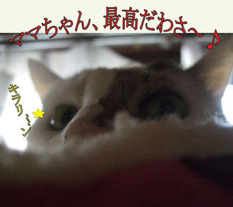 どんこの最高にいい男ぶったお礼（笑）