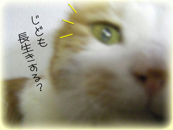 まだまだこれからだよ。Σ(＾∇＾；)