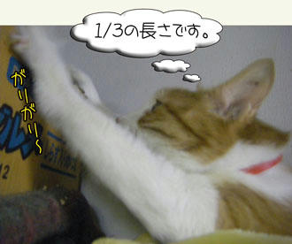 そこまで言う？o(↑∇↑)ﾉ彡☆