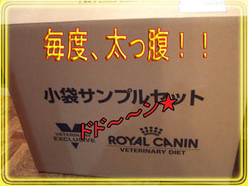 (ﾉ´▽｀)ﾉｵｵｵｵｯ♪今回も大量だわ～