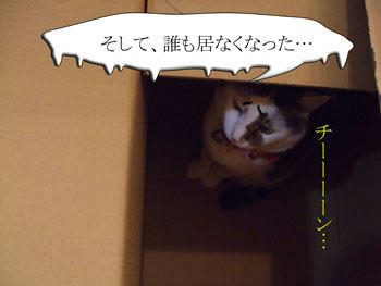 (￣ ￣) ｶｰﾝ！